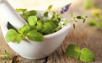 Les plantes qui soignent les aphtes, la mauvaise haleine et les petits maux dentaires…